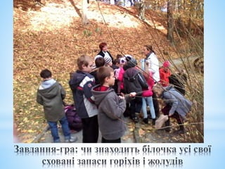 урок  в саду