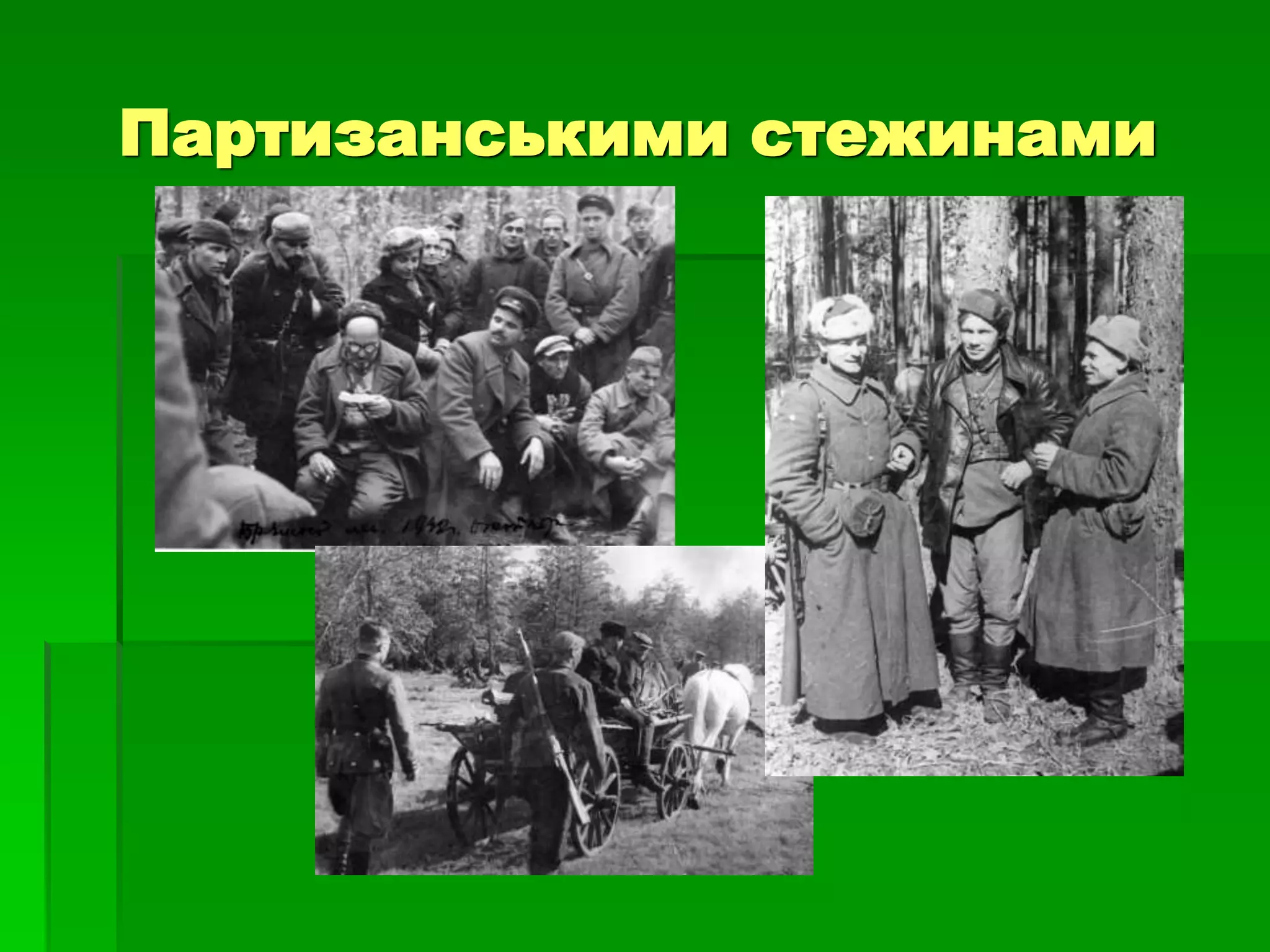 Партизанськими стежинами 
 