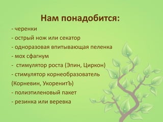 Нам понадобится: 
- черенки 
- острый нож или секатор 
- одноразовая впитывающая пеленка - мох сфагнум - стимулятор роста (Эпин, Циркон) 
- стимулятор корнеобразователь 
(Корневин, УкоренитЪ) 
- полиэтиленовый пакет 
- резинка или веревка  