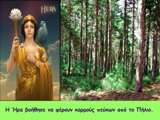 Η Ήρα βοήθησε να φέρουν κορμούς πεύκων από το Πήλιο. 
 