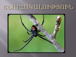 Ջորջ Սամուելյան Սարդ