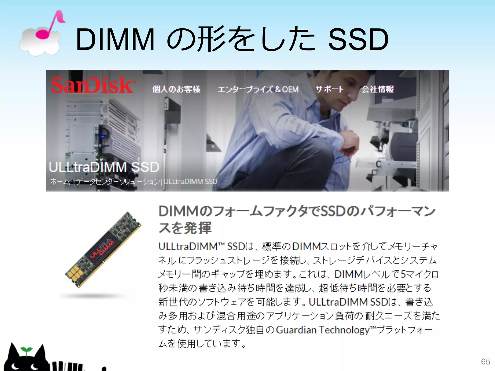 DIMM の形をした SSD 
65 
 