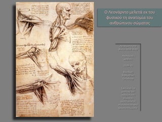 Λεονάρντο ντα 
Βίντσι 1459-1519 
Ανατομικές μελέτες 
1509-10 
Βασιλική Βιβλιοθήκη Ουίνδσορ 
Ερεύνησε τα μυστικά του ανθρώπινου σώματος ανατέμνοντας περισσότερο από τριάντα πτώματα. Ο Λεονάρντο μελετά εκ του φυσικού τη ανατομία του ανθρώπινου σώματος  