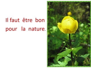 Il faut être bon 
pour la nature. 
 