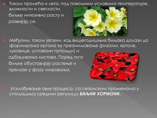 биљни хормони | PPT