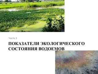 Часть 3 
ПОКАЗАТЕЛИ ЭКОЛОГИЧЕСКОГО 
СОСТОЯНИЯ ВОДОЕМОВ 
 
