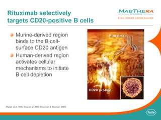 Rituximab selectively 
targets CD20-positive B cells 
Murine-derived region 
binds to the B cell-surface 
CD20 antigen 
Human-derived region 
activates cellular 
mechanisms to initiate 
B cell depletion 
(Rybak et al, 1992; Shaw et al, 2003; Silverman & Weisman, 2003) 
 