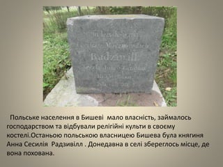 Польське населення в Бишеві мало власність, займалось
господарством та відбували релігійні культи в своєму
костелі.Останьою польською власницею Бишева була княгиня
Анна Сесилія Радзивілл . Донедавна в селі збереглось місце, де
вона похована.
 