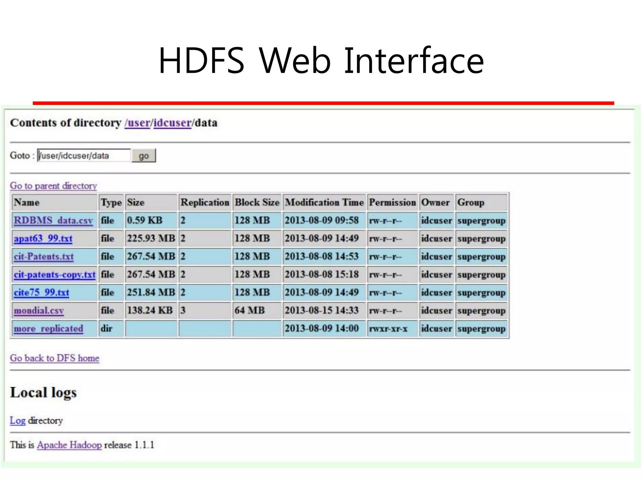 HDFS Web Interface
 