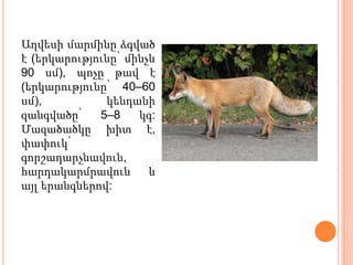 էլեն Ղարագյոզյան Աղվես | PPTX