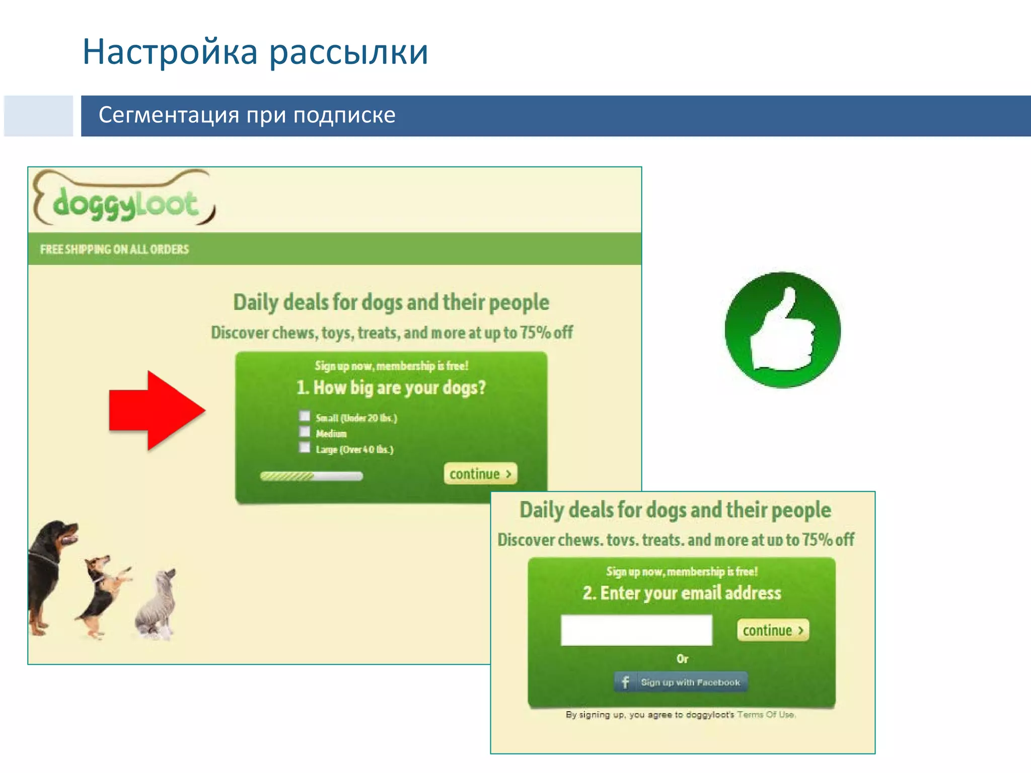 Настройка рассылки
Сегментация при подписке
 