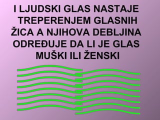 I LJUDSKI GLAS NASTAJE
TREPERENJEM GLASNIH
ŽICA A NJIHOVA DEBLJINA
ODREĐUJE DA LI JE GLAS
MUŠKI ILI ŽENSKI
 