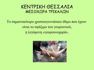 ΚΕΝΤΡΙΚΗ ΘΕΣΣΑΛΙΑ
ΜΕΣΟΧΩΡΑ ΤΡΙΚΑΛΩΝ
Το σημαντικότερο χριστουγεννιάτικο έθιμο που έχουν
είναι το σφάξιμο του γουρουνιού,
η λεγόμενη «γουρουνοχαρά».
 