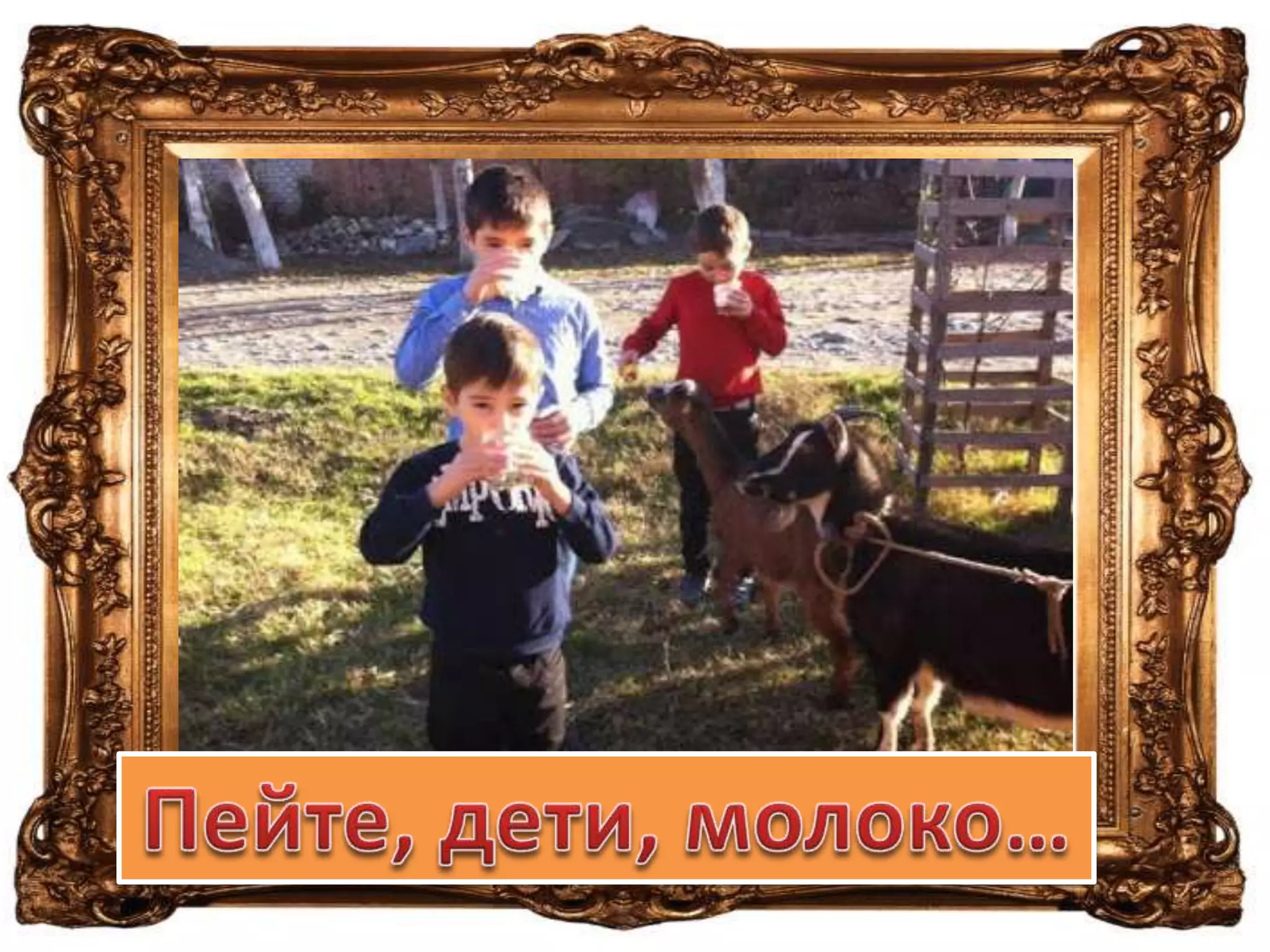 всероссийский конкурс вернисаж занковцев