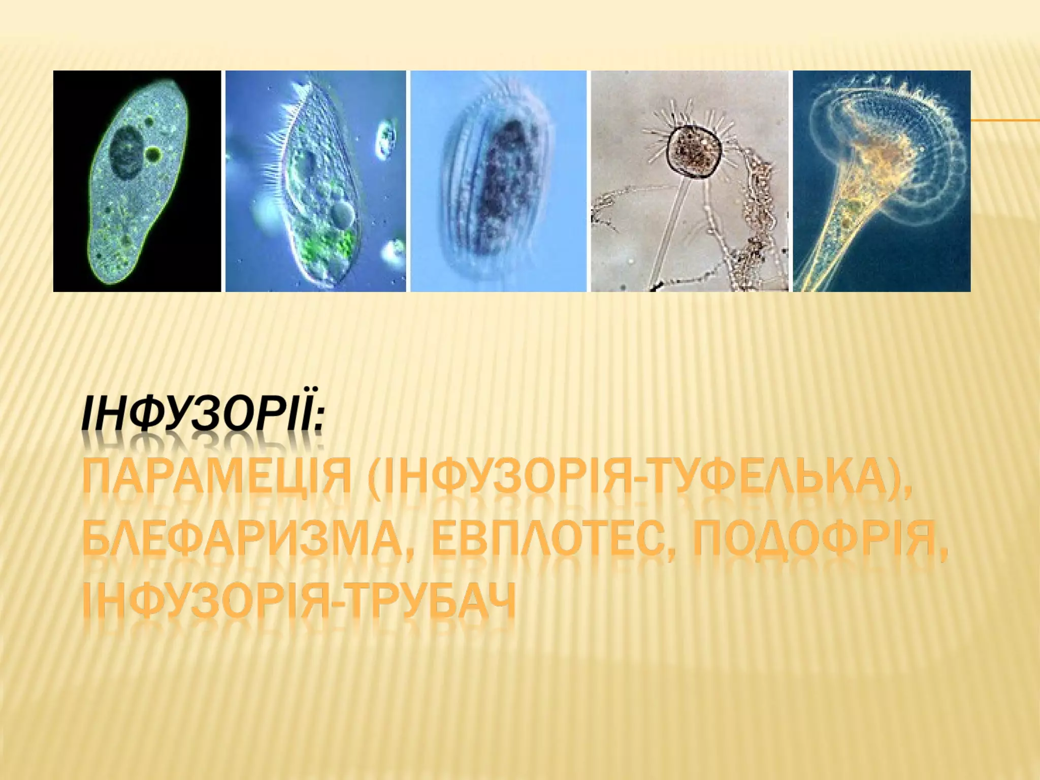 презентація учнів