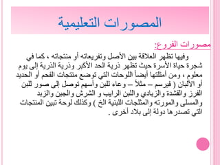 ‫مصورات‬‫الفروع‬:
‫ك‬ ، ‫منتجاته‬ ‫أو‬ ‫وتفريعاته‬ ‫األصل‬ ‫بين‬ ‫العالقة‬ ‫تظهر‬ ‫وفيها‬‫في‬ ‫ما‬
‫ي‬ ‫إلى‬ ‫الذرية‬ ‫وذرية‬ ‫األكبر‬ ‫الحد‬ ‫ذرية‬ ‫تظهر‬ ‫حيث‬ ‫األسرة‬ ‫حياة‬ ‫شجرة‬‫وم‬
‫الفحم‬ ‫منتجات‬ ‫توضع‬ ‫التي‬ ‫اللوحات‬ ‫أيضا‬ ‫أمثلتها‬ ‫ومن‬ ، ‫معلوم‬‫الحديد‬ ‫أو‬
‫األلبان‬ ‫أو‬(‫فيرسم‬–‫مثال‬–‫صو‬ ‫إلى‬ ‫توصل‬ ‫وأسهم‬ ‫للبن‬ ‫وعاء‬‫للبن‬ ‫ر‬
‫والزب‬ ‫والجبن‬ ‫الشرش‬ ‫و‬ ‫الرايب‬ ‫واللبن‬ ‫والزبادي‬ ‫والقشدة‬ ‫الفرز‬‫د‬
‫الخ‬ ‫اللبنية‬ ‫والمثلجات‬ ‫والمورته‬ ‫والمسلى‬)‫ا‬ ‫تبين‬ ‫لوحة‬ ‫وكذلك‬‫لمنتجات‬
‫أخرى‬ ‫بالد‬ ‫إلى‬ ‫دولة‬ ‫تصدرها‬ ‫التي‬.
‫التعليمية‬ ‫المصورات‬
 