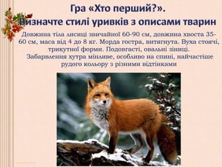 Довжина тіла лисиці звичайної 60-90 см, довжина хвоста 35-
60 см, маса від 4 до 8 кг. Морда гостра, витягнута. Вуха стоячі,
трикутної форми. Подовгасті, овальні зіниці.
Забарвлення хутра мінливе, особливо на спині, найчастіше
рудого кольору з різними відтінками
 