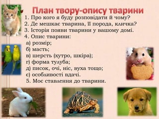 1. Про кого я буду розповідати й чому?
2. Де мешкає тварина, її порода, кличка?
3. Історія появи тварини у вашому домі.
4. Опис тварини:
а) розмір;
б) масть;
в) шерсть (хутро, шкіра);
г) форма тулуба;
д) писок, очі, ніс, вуха тощо;
є) особливості вдачі.
5. Моє ставлення до тварини.
 