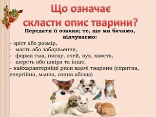 Передати її ознаки; те, що ми бачимо,
відчуваємо:
- зріст або розмір,
- масть або забарвлення,
- форма тіла, писку, очей, вух, хвоста,
- шерсть або шкіра та інше,
- найхарактерніші риси вдачі тварини (спритна,
енергійна, млява, сонна абощо)
 