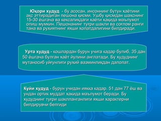 Юқори худудЮқори худуд - бу асосан, инсоннинг бутун хаётини- бу асосан, инсоннинг бутун хаётини
акс эттирадиган пешона қисми. Ушбу қиакс эттирадиган пешона қисми. Ушбу қиссмдан шахмдан шахсснингнинг
15-30 ёшгача ва кексаликдаги хаёти хақида маълумот15-30 ёшгача ва кексаликдаги хаёти хақида маълумот
олиш мумкин. Пешонанинг туолиш мумкин. Пешонанинг туғғри шакли вари шакли ва сосоғғлом рангилом ранги
тана ва рухиятнинг яхши холатдалигини билдиради.тана ва рухиятнинг яхши холатдалигини билдиради.
Урта худудУрта худуд - кошлардан бурун учига кадар булиб, 35 дан- кошлардан бурун учига кадар булиб, 35 дан
50 ёшгача булган хаёт йулини англатади. Бу худуднинг50 ёшгача булган хаёт йулини англатади. Бу худуднинг
мутаносиб уймутаносиб уйғғунлиги руунлиги руххий вазминликдан далолат.ий вазминликдан далолат.
Куйи худудКуйи худуд - бурун учидан иякка кадар. 51 дан 77 ёш ва- бурун учидан иякка кадар. 51 дан 77 ёш ва
ундан ортик муддат хакида маълумот беради. Буундан ортик муддат хакида маълумот беради. Бу
ххудуднинг туудуднинг туғғри шаклланганлиги яхши характернири шаклланганлиги яхши характерни
билдирувчи белгидибилдирувчи белгиди
 