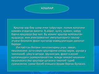 КОШЛАРКОШЛАР
Кршлар хар бир шахе ички туйрулари, психик холатиниКршлар хар бир шахе ички туйрулари, психик холатини
намоён этадиган восита. Х.айрат, кулгу, кувонч, кайрунамоён этадиган восита. Х.айрат, кулгу, кувонч, кайру
барча иркдарда бир хил. Бу юзнинг кршлар жойлашганбарча иркдарда бир хил. Бу юзнинг кршлар жойлашган
худудида, мия электромагнит импульеларига таъсирхудудида, мия электромагнит импульеларига таъсир
этувчи биологик фаол нукталар мавжудлигидан далолатэтувчи биологик фаол нукталар мавжудлигидан далолат
беради.беради.
Йиглаётган болани тинчлантириш учун, аввал,Йиглаётган болани тинчлантириш учун, аввал,
пешонасини, аста-секин кршларини силаш керак, шунда упешонасини, аста-секин кршларини силаш керак, шунда у
тинчланиб, уйкуга кетади. Шунингдек, фаол х.иссийтинчланиб, уйкуга кетади. Шунингдек, фаол х.иссий
кузгалишдаги (хаяжонланаётган, жахди чиккан) кишинингкузгалишдаги (хаяжонланаётган, жахди чиккан) кишининг
пешонасига ёки кршлари уртасига тикилиб турибпешонасига ёки кршлари уртасига тикилиб туриб
сузласангиз, узини босиб олишига ёрдам берган буласиз.сузласангиз, узини босиб олишига ёрдам берган буласиз.
 