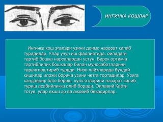 ИНГИЧКА КОШЛАРИНГИЧКА КОШЛАР
Ингичка кош эгалари узини доимо назорат килибИнгичка кош эгалари узини доимо назорат килиб
турадилар. Улар учун иш фаолиятида, оиладагитурадилар. Улар учун иш фаолиятида, оиладаги
тартиб бошка нарсалардан устун. Бирок ортикчатартиб бошка нарсалардан устун. Бирок ортикча
тартиблилик бошкалар билан муносабатларинитартиблилик бошкалар билан муносабатларини
таранглаштириб туради. Низо пайтларида бундайтаранглаштириб туради. Низо пайтларида бундай
кишилар иложи борича узини четга тортадилар. Узигакишилар иложи борича узини четга тортадилар. Узига
кандайдир бао бериш, хулк-атворини назорат килибкандайдир бао бериш, хулк-атворини назорат килиб
туриш асабийликка олиб боради. Оилавий Каётитуриш асабийликка олиб боради. Оилавий Каёти
тотув, улар яхши эр ва ажойиб бекадирлар.тотув, улар яхши эр ва ажойиб бекадирлар.
 