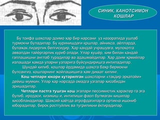 СИНИК, КАНОТСИМОНСИНИК, КАНОТСИМОН
КОШЛАРКОШЛАР
Бу тоифа шахслар доимо хар бир нарсани уз назоратида ушлабБу тоифа шахслар доимо хар бир нарсани уз назоратида ушлаб
турмокчи буладилар. Бу куринишдаги кршлар, айникса, аёлларда,турмокчи буладилар. Бу куринишдаги кршлар, айникса, аёлларда,
булажак лидерлик белгисидир. Хар кандай учрашувга, мулокотгабулажак лидерлик белгисидир. Хар кандай учрашувга, мулокотга
аввалдан тайёргарлик куриб олади. Улар хушёр, ким билан кандайаввалдан тайёргарлик куриб олади. Улар хушёр, ким билан кандай
гаплашишни англаб турадилар ва адашмайдилар. Хар доим хрмийларгаплашишни англаб турадилар ва адашмайдилар. Хар доим хрмийлар
излашади хамда уларни узларига буйсундиришга интиладилар.излашади хамда уларни узларига буйсундиришга интиладилар.
Шундай килиб, кошлар ёрдамида шахсга бахр бермокчиШундай килиб, кошлар ёрдамида шахсга бахр бермокчи
булсангиз, кошларнинг жойлашишига хам диккат килинг.булсангиз, кошларнинг жойлашишига хам диккат килинг.
Кош четлари юкори кутарилганКош четлари юкори кутарилган шахсларни «такдир эркатойи»шахсларни «такдир эркатойи»
дейиш мумкин. Улар хар нарсада омадга узгалар хисобидандейиш мумкин. Улар хар нарсада омадга узгалар хисобидан
эришадилар.эришадилар.
Четлари пастга тушган кошЧетлари пастга тушган кош эгалари пессимистик характер га эгаэгалари пессимистик характер га эга
булиб, иродаси, кизикиш и, интилиши фаол булмаган кишиларбулиб, иродаси, кизикиш и, интилиши фаол булмаган кишилар
хисобланадилар. Шахсий каётда атрофдагиларга ортикча ишонибхисобланадилар. Шахсий каётда атрофдагиларга ортикча ишониб
юборадилар, бирок ростгуйлик ва тугриликни ёктирадилар.юборадилар, бирок ростгуйлик ва тугриликни ёктирадилар.
 