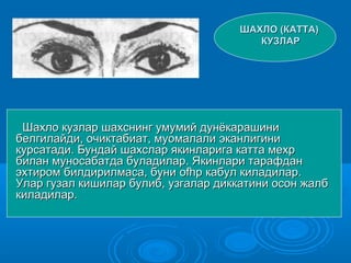 ШАХЛО (КАТТА)ШАХЛО (КАТТА)
КУЗЛАРКУЗЛАР
Шахло кузлар шахснинг умумий дунёкарашиниШахло кузлар шахснинг умумий дунёкарашини
белгилайди, очиктабиат, муомалали эканлигинибелгилайди, очиктабиат, муомалали эканлигини
курсатади. Бундай шахслар якинларига катта мехркурсатади. Бундай шахслар якинларига катта мехр
билан муносабатда буладилар. Якинлари тарафданбилан муносабатда буладилар. Якинлари тарафдан
эхтиром билдирилмаса, буниэхтиром билдирилмаса, буни ofhpofhp кабул киладилар.кабул киладилар.
Улар гузал кишилар булиб, узгалар диккатини осон жалбУлар гузал кишилар булиб, узгалар диккатини осон жалб
киладилар.киладилар.
 