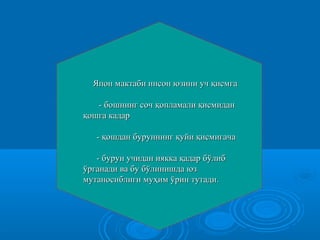 Япон мактаби инсон юзини учЯпон мактаби инсон юзини уч ққииссмгамга
- бошнинг соч- бошнинг соч ққопламалиопламали ққисмиданисмидан
ққooшга кадаршга кадар
-- қошдан буруннинг қуйи қисмигачақошдан буруннинг қуйи қисмигача
-- бурун учидан иякка қадар бўлиббурун учидан иякка қадар бўлиб
ўрганади ва бу бўлинишда юзўрганади ва бу бўлинишда юз
мутаносиблиги мумутаносиблиги муҳҳим ўрин тутади.им ўрин тутади.
 
