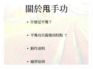 平甩功 平甩功
