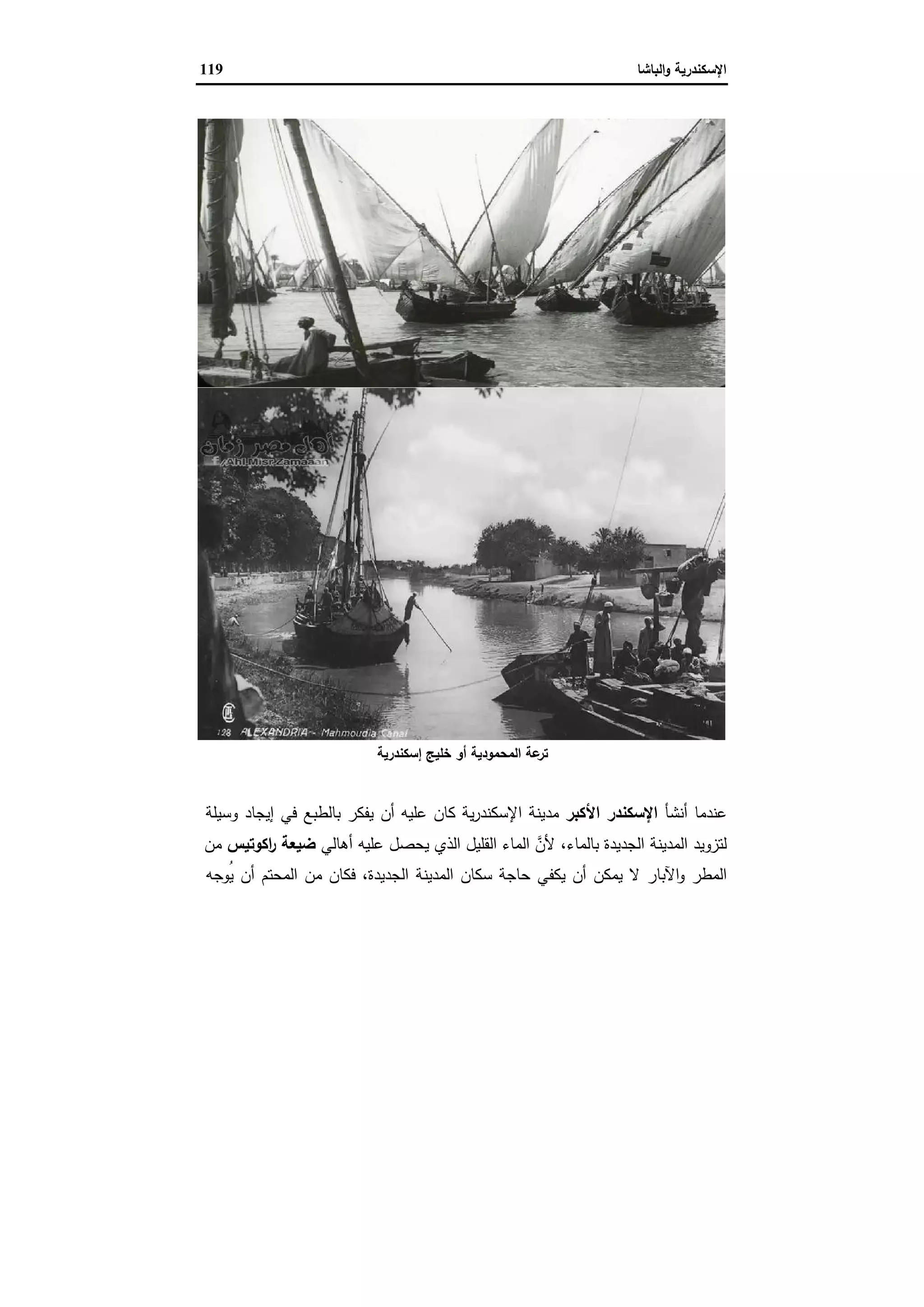 الإسكندرية والباشا