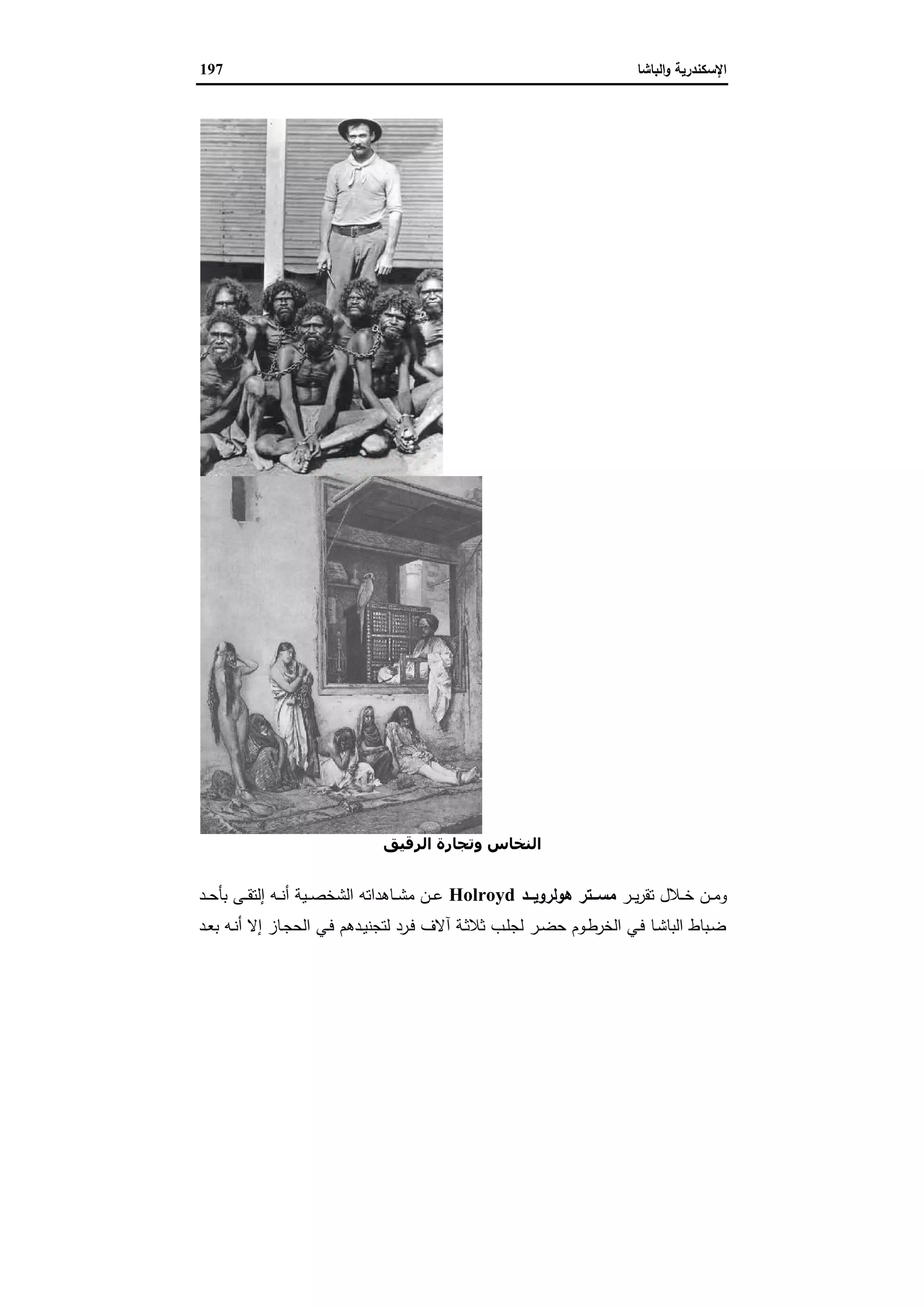 الإسكندرية والباشا