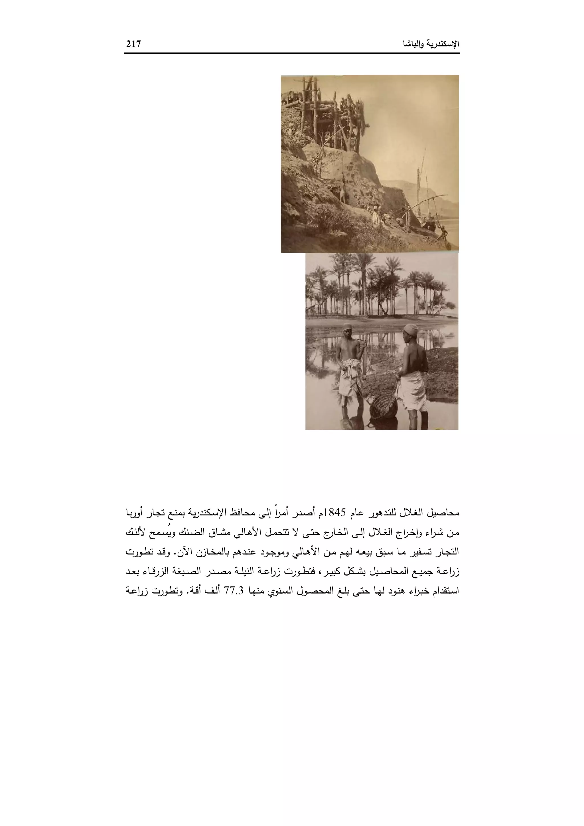 الإسكندرية والباشا