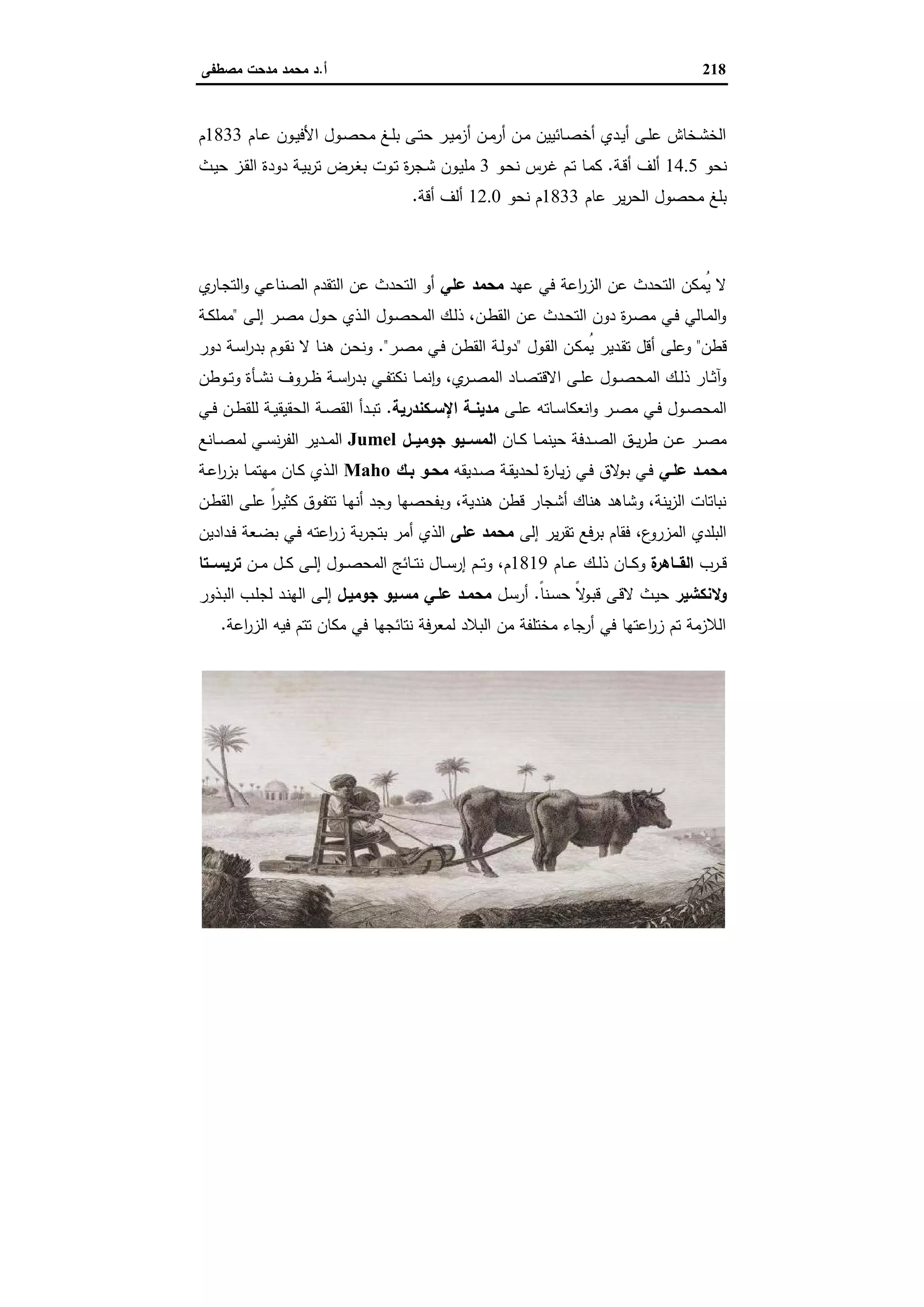 الإسكندرية والباشا