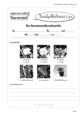 ชั้นประถมศึกษาปีที่ ๔  ภาคเรียนที่ ๑  ปีการศึกษา ๒๕๕๗
283
ศึกษาพืชต่อไปนี้
กลุ่มสาระการเรียนรู้
วิทยาศาสตร์
เรื่อง พืชตอบสนองต่อสิ่งแวดล้อมอย่างไร
ชื่อ..................................................................................................................ชั้น............................................เลขที่.................................
วันที่.........................เดือน............................................พ.ศ.............................
ใบบันทึกกิจกรรม
ผลการสังเกตจากภาพ
.................................................................................................................................................................................................................................................................................................
.................................................................................................................................................................................................................................................................................................
.................................................................................................................................................................................................................................................................................................
..................................................................................................................................................................................................................................................................................................
w w w w w w w w
	 ดอกพุดตาน	 ดอกพุดตาน	 ดอกพุดตาน
	 ๑. เวลาเช้า	 ๒. เวลาบ่าย	 ๓. เวลาเย็น
	 ๔. หม้อข้าวหม้อแกงลิง	 ๕. กาบหอยแครง	 ๖. ต้นพืชโน้มเข้าหาแสง
 