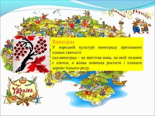 Виноград
У народній культурі винограду притаманні
ознаки святості:
сад-виноград – це життєва нива, на якій чоловік
є сіячем, а жінка повинна ростити і плекати
дерево їхнього роду.
 