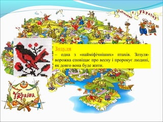 Зозуля
– одна з «найміфічніших» птахів. Зозуля-
ворожка сповіщає про весну і пророкує людині,
як довго вона буде жити.
 