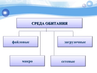загрузочные
СРЕДА ОБИТАНИЯСРЕДА ОБИТАНИЯ
файловые
сетевыемакро
 