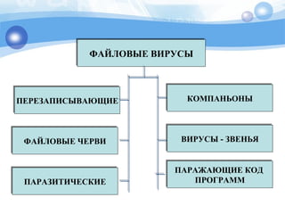 ФАЙЛОВЫЕ ВИРУСЫФАЙЛОВЫЕ ВИРУСЫ
ПЕРЕЗАПИСЫВАЮЩИЕПЕРЕЗАПИСЫВАЮЩИЕ
ФАЙЛОВЫЕ ЧЕРВИФАЙЛОВЫЕ ЧЕРВИ
ПАРАЗИТИЧЕСКИЕПАРАЗИТИЧЕСКИЕ
КОМПАНЬОНЫКОМПАНЬОНЫ
ВИРУСЫ - ЗВЕНЬЯВИРУСЫ - ЗВЕНЬЯ
ПАРАЖАЮЩИЕ КОД
ПРОГРАММ
ПАРАЖАЮЩИЕ КОД
ПРОГРАММ
 