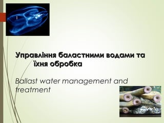 Управління баластними водами таУправління баластними водами та
їхня обробкаїхня обробка
Ballast water management and
treatment
1
 