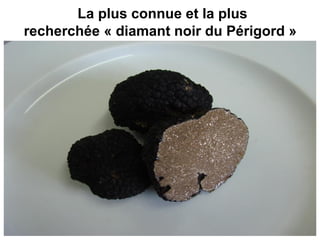  La plus connue et la plus
recherchée « diamant noir du Périgord »
 