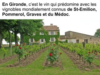 En Gironde, c’est le vin qui prédomine avec les 
vignobles mondialement connus de St-Emilion,
Pommerol, Graves et du Médoc.  
 
