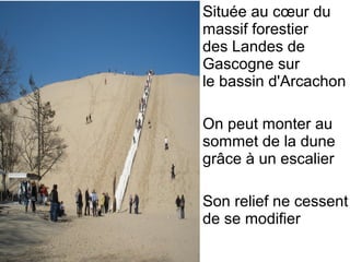 • Située au cœur du 
massif forestier 
des Landes de 
Gascogne sur 
le bassin d'Arcachon
• On peut monter au 
sommet de la dune 
grâce à un escalier  
• Son relief ne cessent 
de se modifier
 