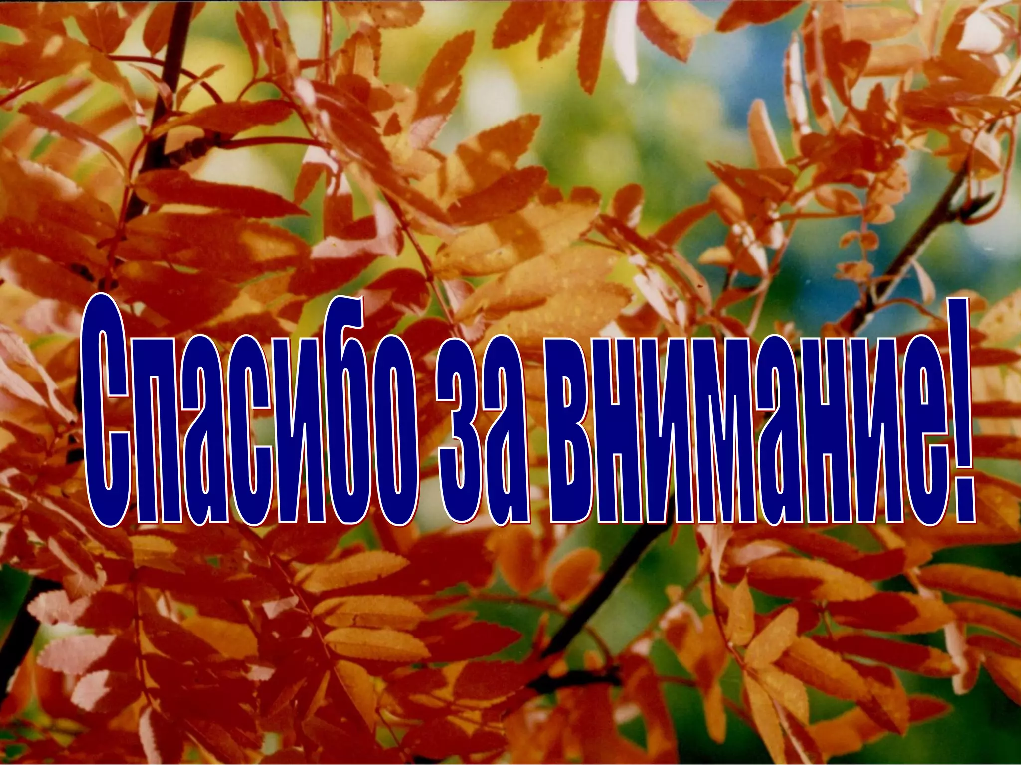 Исследовательская деятельность