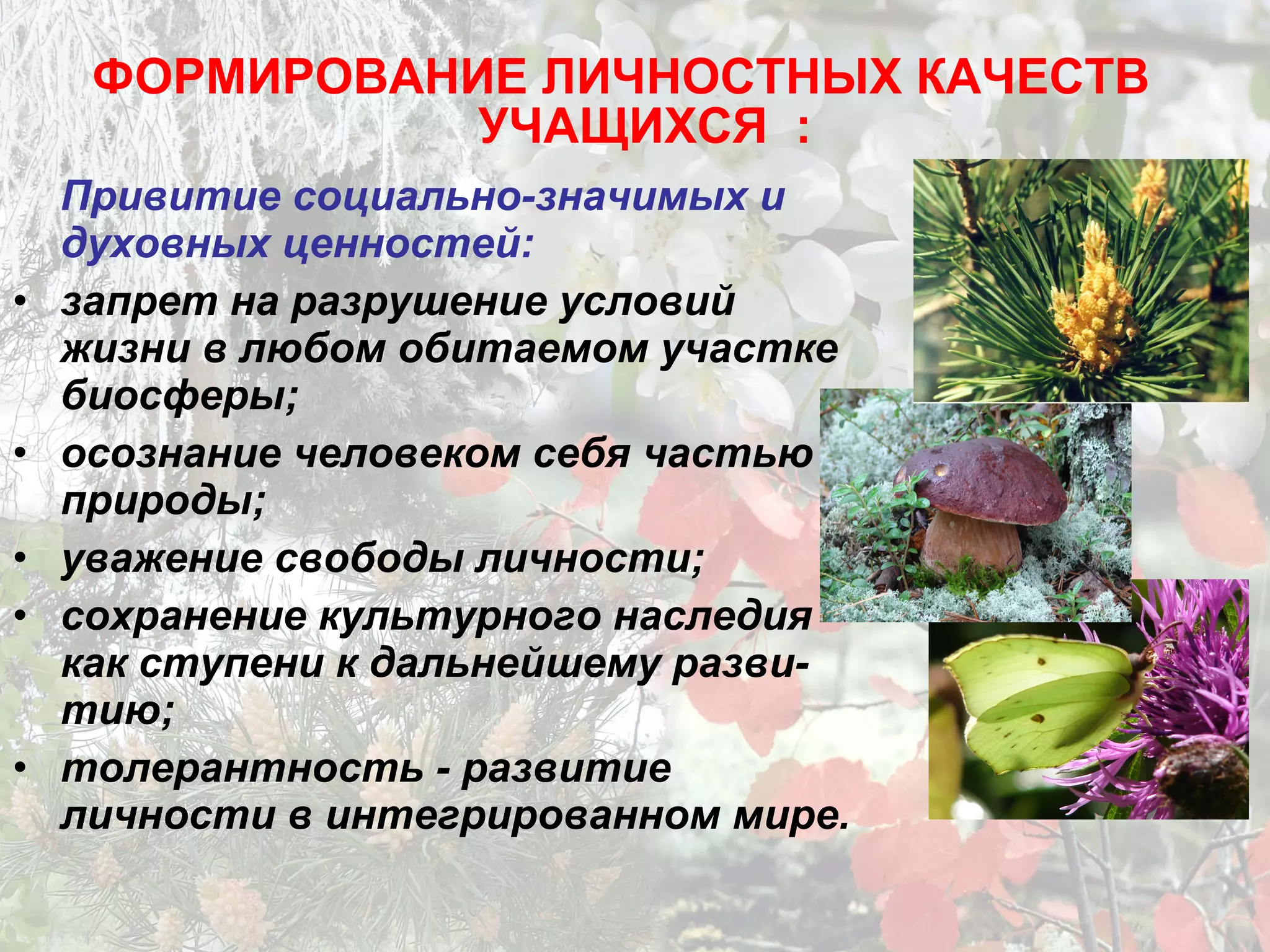 Привитие социально-значимых и
духовных ценностей:
• запрет на разрушение условий
жизни в любом обитаемом участке
биосферы;
• осознание человеком себя частью
природы;
• уважение свободы личности;
• сохранение культурного наследия
как ступени к дальнейшему разви-
тию;
• толерантность - развитие
личности в интегрированном мире.
ФОРМИРОВАНИЕ ЛИЧНОСТНЫХ КАЧЕСТВ
УЧАЩИХСЯ :
 