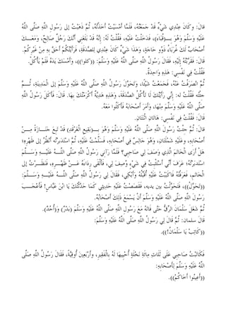 كتاب صحيح السيرة النبوية بقلم الشيخ الألباني