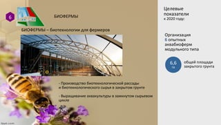 БИОФЕРМЫ6
Целевые
показатели
к 2020 году:
Организация
6 опытных
аквабиоферм
модульного типа
6,6
га
общей площади
закрытого грунта
БИОФЕРМЫ – биотехнологии для фермеров
- Производство биотехнологической рассады
и биотехнологического сырья в закрытом грунте
- Выращивание аквакультуры в замкнутом сырьевом
цикле
 