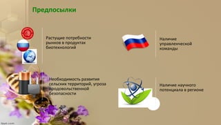 Предпосылки
Растущие потребности
рынков в продуктах
биотехнологий
Наличие
управленческой
команды
Наличие научного
потенциала в регионе
Необходимость развития
сельских территорий, угроза
продовольственной
безопасности
 