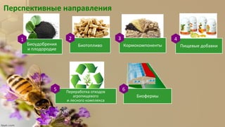 Перспективные направления
Биоудобрения
и плодородие
Биотопливо Кормокомпоненты Пищевые добавки
Переработка отходов
агропищевого
и лесного комплекса
Биофермы
1 2 3 4
5 6
 