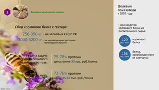 Белковые компоненты кормов3
Целевые
показатели
к 2020 году:
Решена задача
получения белкового
концентрата из трав:
Сбор кормового белка с гектара:
250-350 кг - на зерновых в ЦЧР РФ
2000-3200 кг - на инновационных растениях
Вологодской области
75-78% протеин
цена: менее 30 тыс. руб./тонна
Рыбная мука: 72-76% протеин
цена: 45-62 тыс. руб./тонна
Производство
кормового белка из
растительного сырья:
120
тыс. тонн
кормового
белка
156
тыс. тонн
белка,
освобожденного
от клетчатки
 